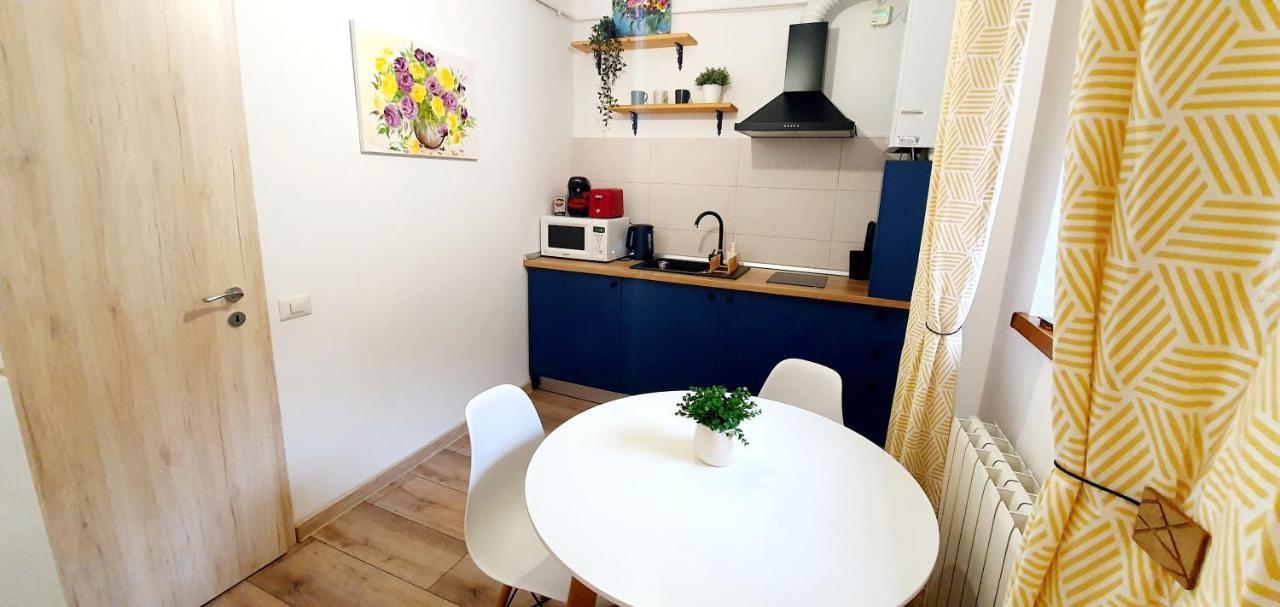 Art Studio 布拉索夫 外观 照片