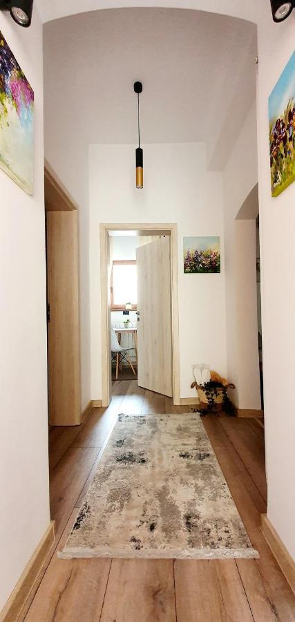Art Studio 布拉索夫 外观 照片